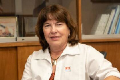 La nueva presidenta del INTA, Susana Missou