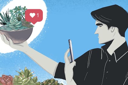 La nueva propuesta fusiona la decoración con la naturaleza; son conjuntos de plantas sofisticadas, sumidas en un cristal y con mayor diseño; la ventaja es que ninguno es igual a otro