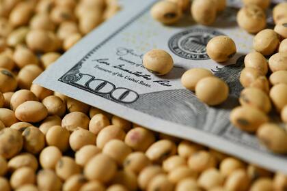 La nueva referencia que publicará la Bolsa de Cereales de Bueno Aires podrá ser usada para la pesificación de las ventas forward