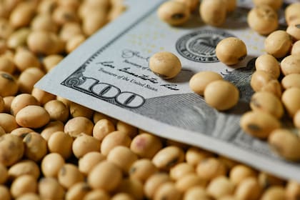 La nueva referencia que publicará la Bolsa de Cereales de Bueno Aires podrá ser usada para la pesificación de las ventas forward