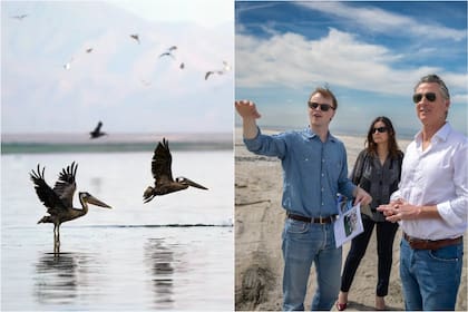 La nueva reserva natural estatal de California está en el Mar de Salton