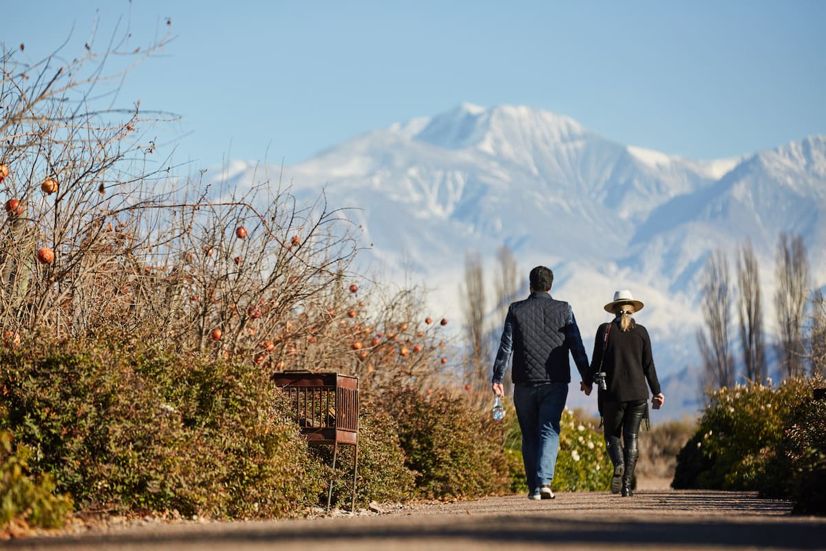 La nueva tendencia en enoturismo es combinar la buena vida entre viñedos con programas de bienestar. Vinos naturales, cocina de proximidad y yoga al pie de los Andes.