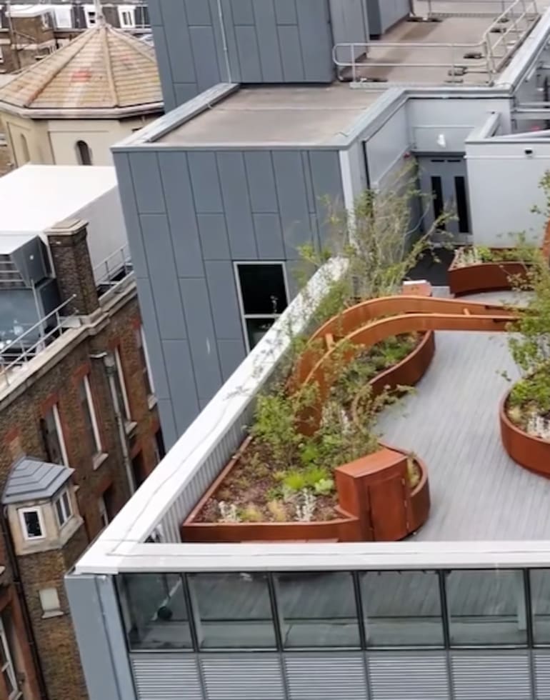 La nueva terraza de Cuidados Intensivos del King's College Hospital de Londres