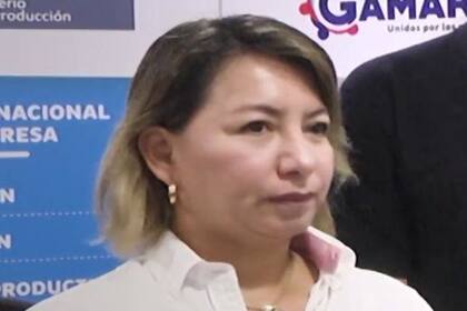 La nueva titular de Comercio Exterior y Turismo, Rocío Barrios, juró desde su casa tras dar positivo