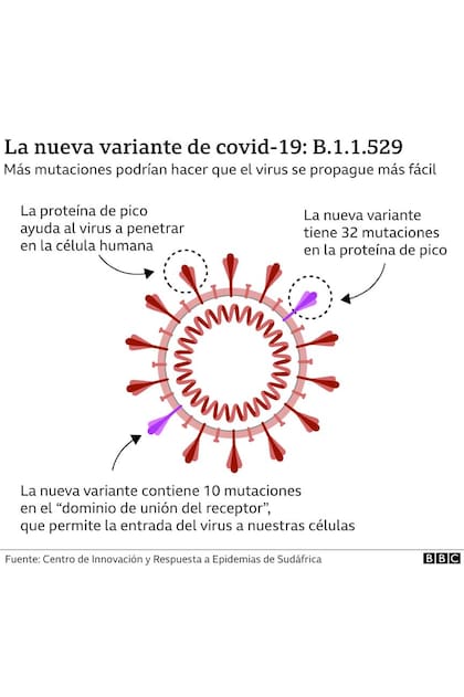 La nueva variante de Covid-19