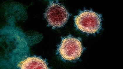 Las nuevas variantes del coronavirus encontradas en el Reino Unido y Sudáfrica están vinculadas a un aumento del número de infecciones.