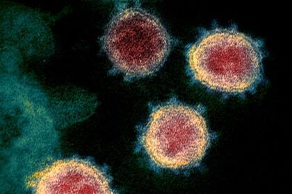 La nueva variante del coronavirus encontrada en Sudáfrica está vinculada a un aumento del número de infecciones