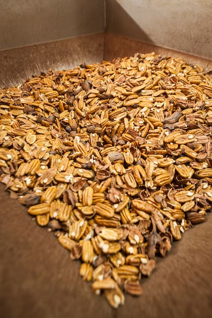 La nuez pecán tiene múltiples propiedades antioxidantes.