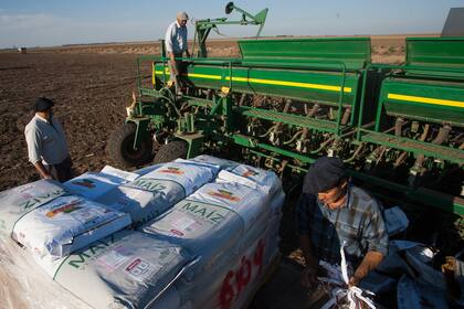 La nutrición es clave para el cultivo