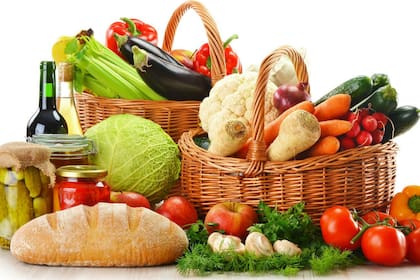 La nutrición es un aspecto fundamental para mantener el equilibrio homeostático del cuerpo y sus órganos