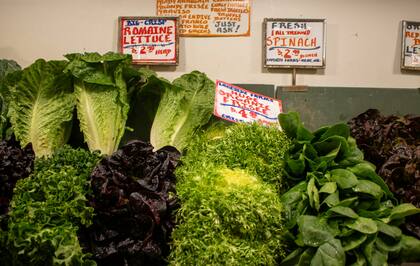 La nutricionista confirmó que comer primero una ración de vegetales verdes puede ayudar a controlar los niveles de azúcar en la sangre (Unsplash/Zoshua Colah)