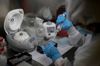 La obesidad infantil empeoró con la pandemia