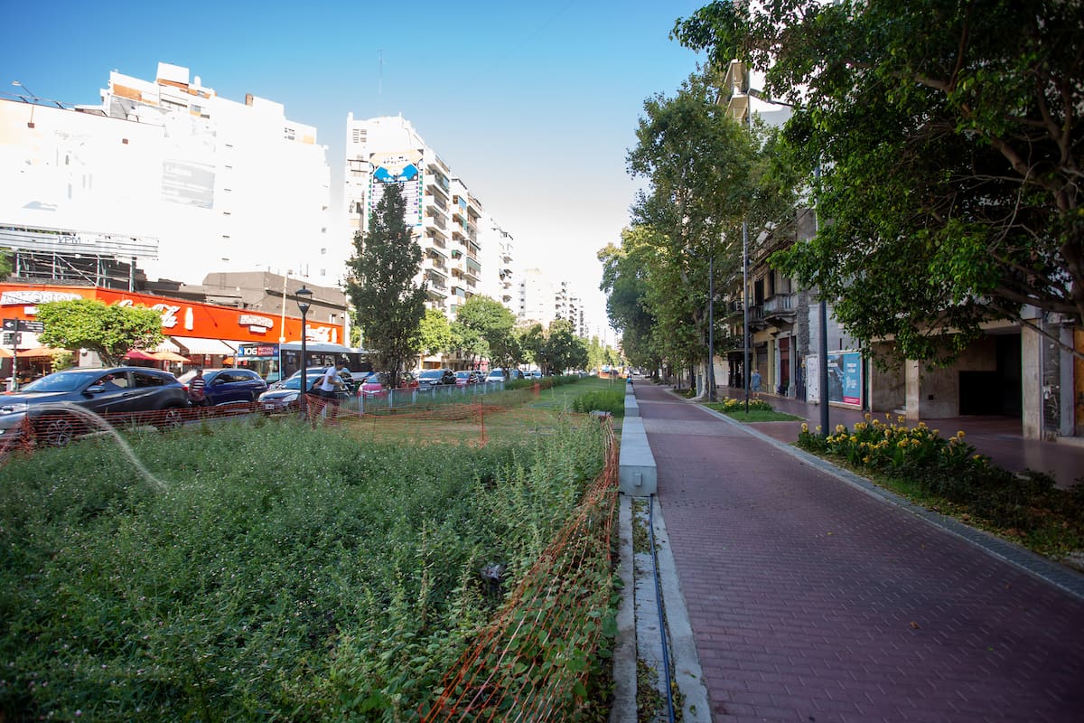 La obra de la avenida Honorio Pueyrredón promete cambiar la zona