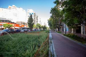 La obra de la avenida Honorio Pueyrredón promete cambiar la zona