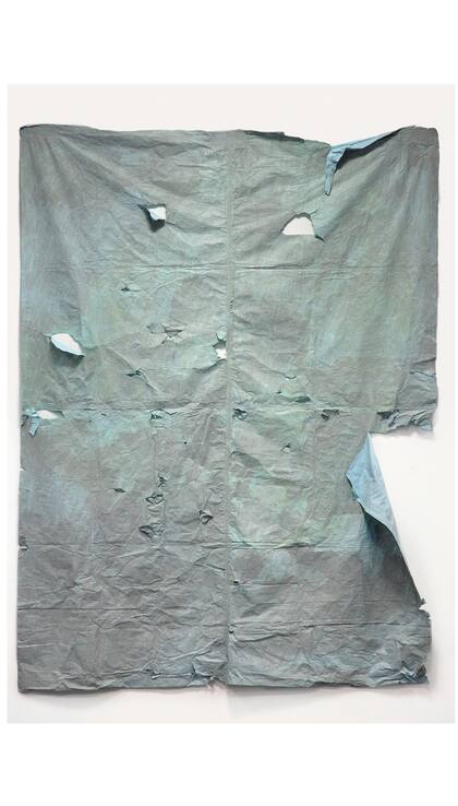 La obra de la polémica: Sin título ganó el primer premio adquisición Jóvenes Artistas, de 50.000 pesos, en la IX edición del Premio Nacional de Pintura Banco Central