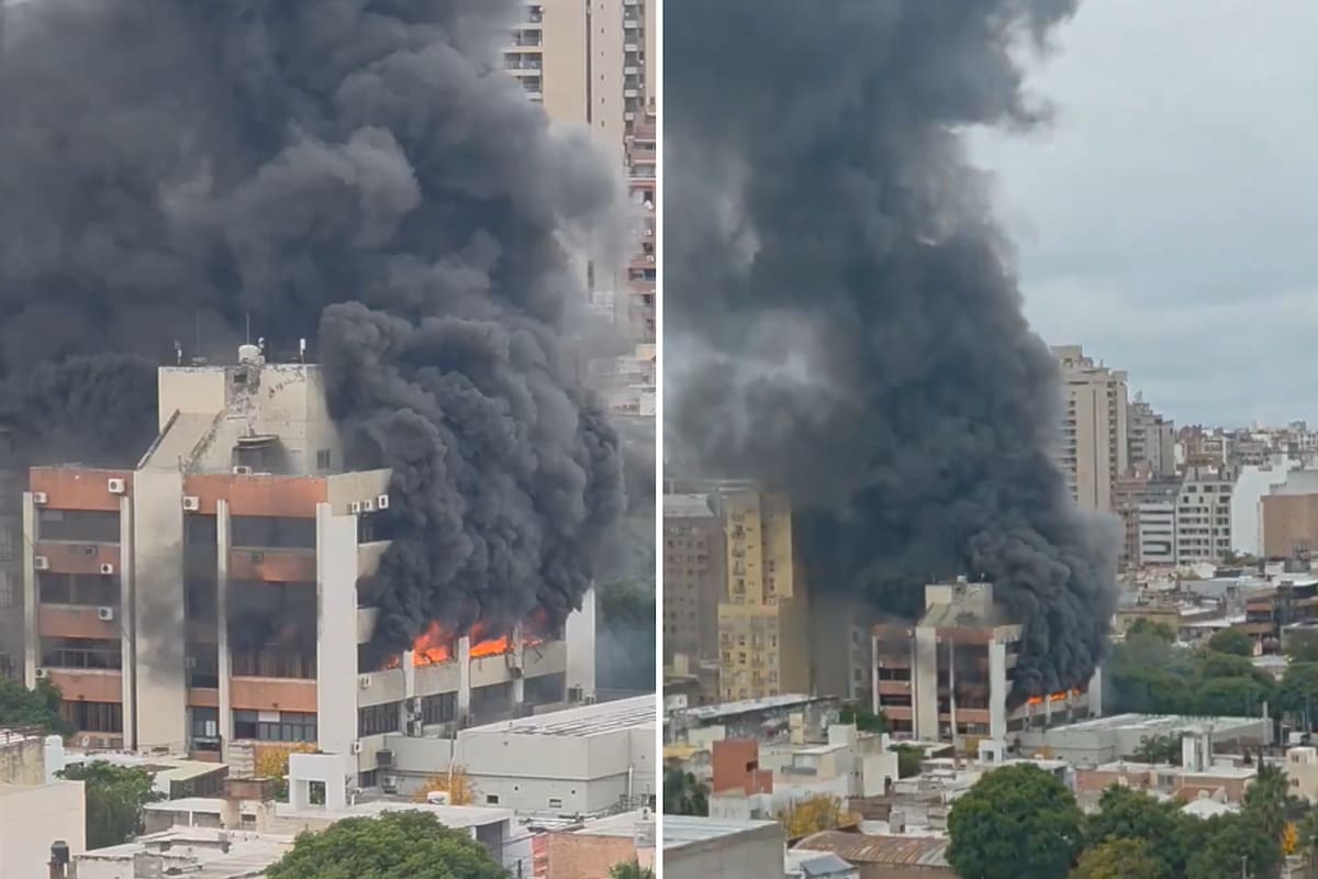 La obra social estuvo en el foco tras la detención de trece personas por estafas