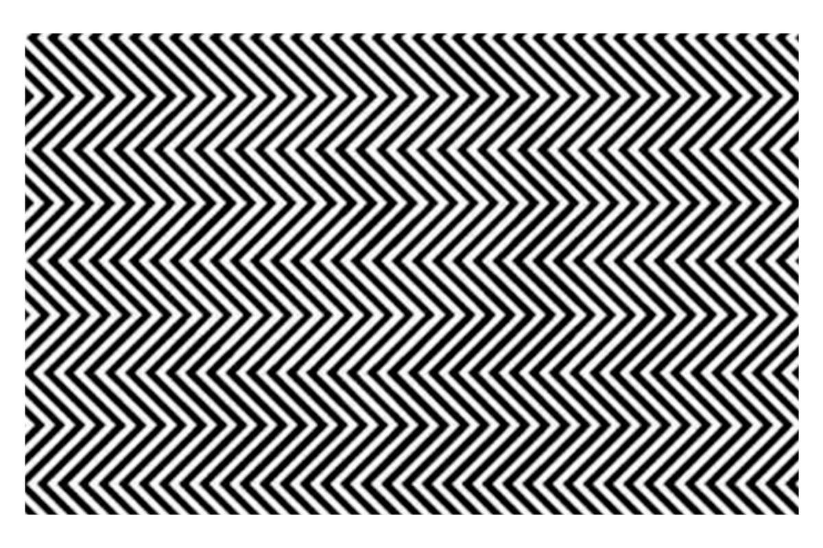 La obra titulada “They Can Disappear” es obra del diseñador gráfico ruso Ilja Klemencov y busca generar conciencia sobre una especie vulnerable