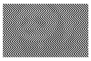 La obra titulada “They Can Disappear” es obra del diseñador gráfico ruso Ilja Klemencov y busca generar conciencia sobre una especie vulnerable