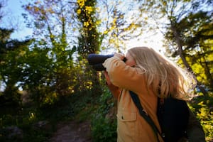La observación de aves es fundamental para envejecer con buena memoria