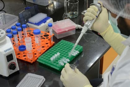 La ocupación de camas UTI, más allá de la dolencia que explique la internación del paciente, a nivel nacional promedia el 54,1%, mientras que en el AMBA llega al 58,6%