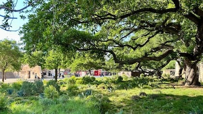 La oficina de tierras podrá adoptar las normas necesarias para coordinar el establecimiento del Sendero del Bicentenario