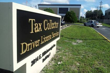 La oficina del recaudador envía la solicitud al departamento jurídico en Tallahassee, que coordina con las autoridades de inmigración la autorización de emisión bajo la normativa del Real ID