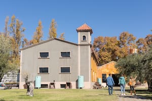 La olívicola Laur, hoy también museo, fue la primera fábrica de aceite de oliva de Argentina: data de 1889.