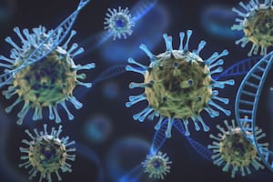 La OMS denomina con letras griegas a las variantes del coronavirus