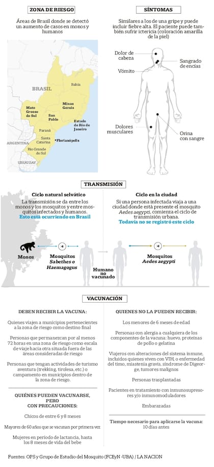 La OMS volvió a recomendar ayer que las personas que viajen a Brasil en los próximos días se vacunen contra la fiebre amarilla. Lo hizo luego de que se detectara un aumento de la transmisión selvática del virus cada vez más próxima a centros urbanos muy poblados, como el Gran San Pablo.