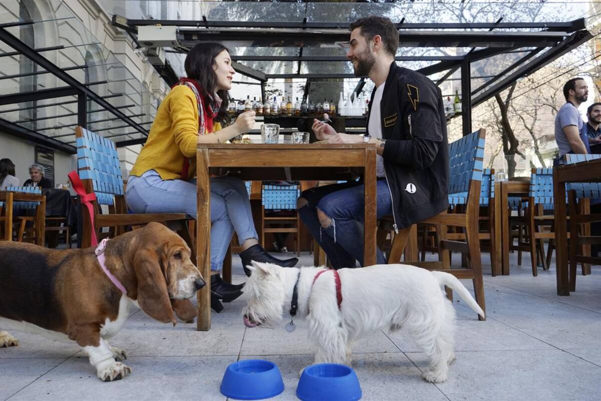 La onda pet friendly cada vez gana más adeptos y la ciudad va adaptando sus espacios