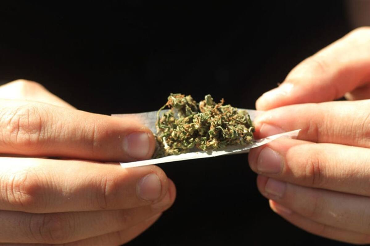 La ONU pidió despenalizar la tenencia de drogas para consumo