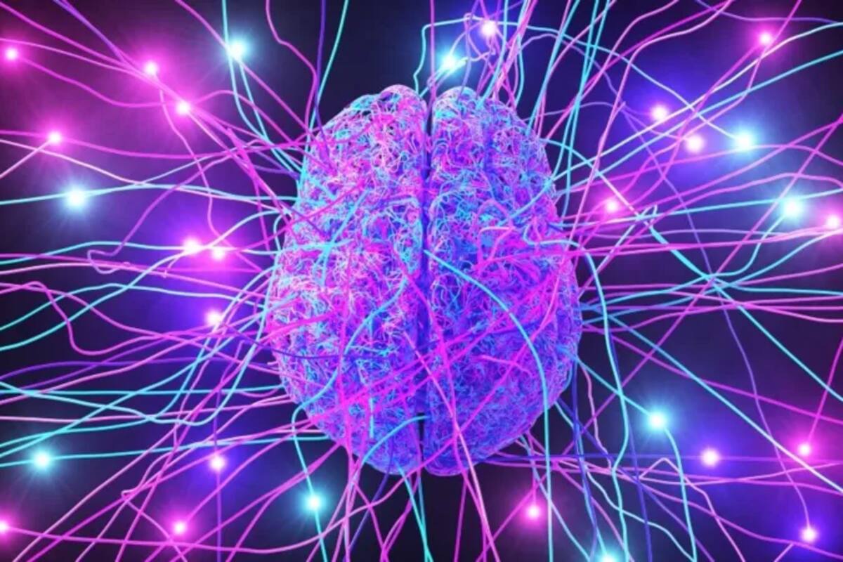 La optogenética ofrece oportunidades para mapear el cerebro de una forma con la que antes solo podíamos soñar