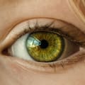 Qué es la optogenética y qué descubrimientos merecieron el Premio Nobel de Medicina 2026