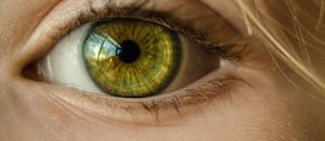Qué es la optogenética y qué descubrimientos merecieron el Premio Nobel de Medicina 2026