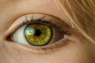 Qué es la optogenética y qué descubrimientos merecieron el Premio Nobel de Medicina 2026