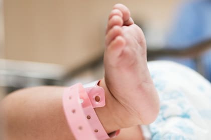 La orden ejecutiva GA-57 asigna la investigación a seis organismos estatales de salud y regulación profesional