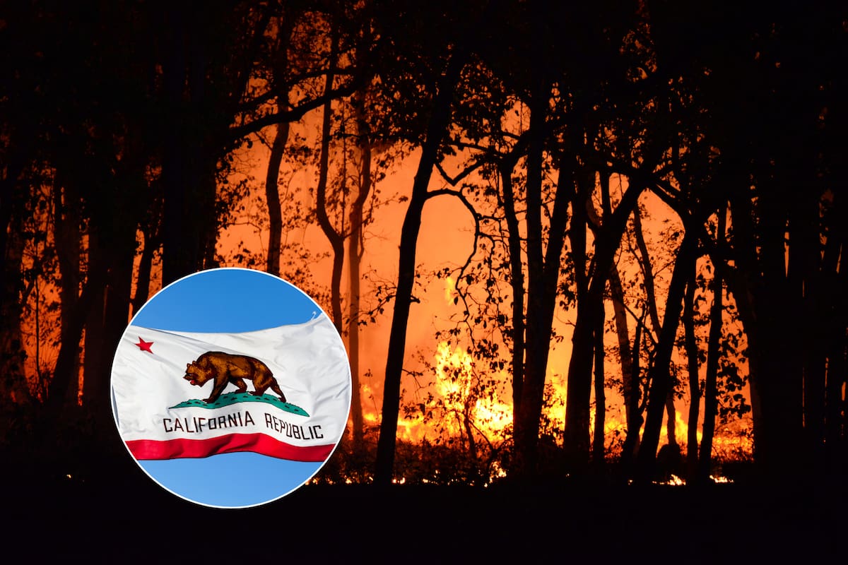 La ordenanza de la ciudad estipula multas y sanciones para los vecinos que no colaboren con la remoción de objetos inflamables