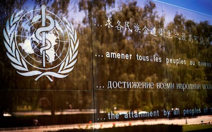 La Organización Mundial de la Salud (OMS) define al Parkinson como una enfermedad degenerativa, progresiva y crónica (AP Foto/Anja Niedringhaus, archivo)