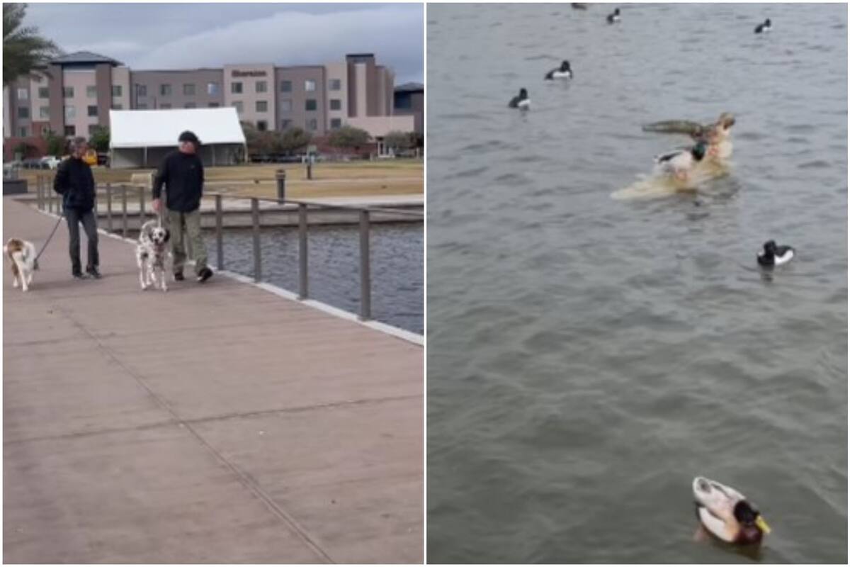 La organización que administra un lago en Arizona tuvo una idea que alarmó a muchas personas