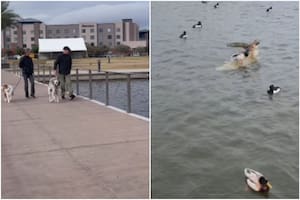 La organización que administra un lago en Arizona tuvo una idea que alarmó a muchas personas