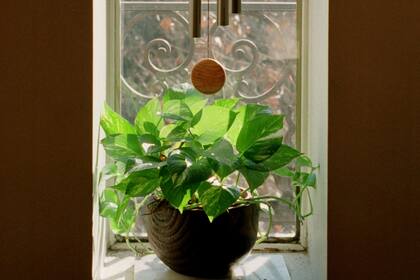 La orientación de los muebles en función de las puertas y las ventanas, y el color de las paredes son elementos con los que se puede jugar para modificar la energía