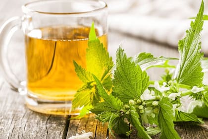 La ortiga se puede consumir en modo de infusión