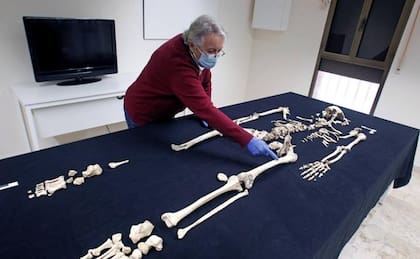 La osteoarqueóloga Mari Paz de Miguel junto al esqueleto del caballero encontrado en la fosa de Guardamar