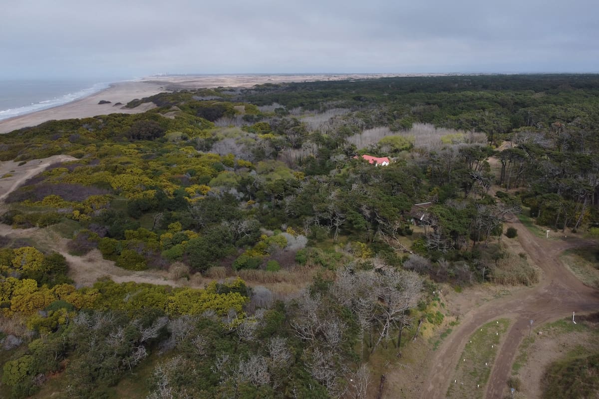 La otra Cariló. Todos los detalles del proyecto que se debate hoy