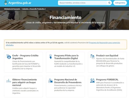 La página del Gobierno para obtener el financiamiento tras los saqueos