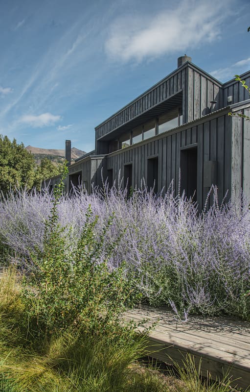 La paleta cromática del jardín se eligió en contraste con el color de la casa