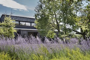 La paleta cromática del jardín se eligió en contraste con el color de la casa