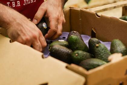 La palta contraestación también viene de países limítrofes