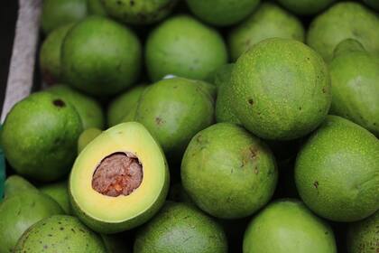 La palta es una grasa saludable que contribuye a la longevidad