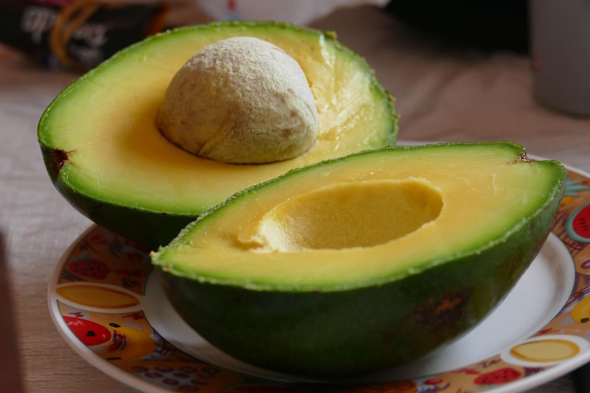 La palta nutre la piel, las uñas y el cabello por su alto contenido en vitaminas C y E (Foto ilustrativa: PIXABAY)